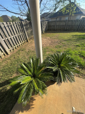 8920 Ashland Park Place