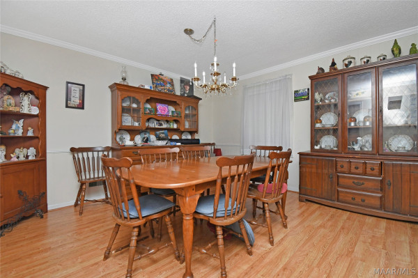 202 Elwyn Avenue