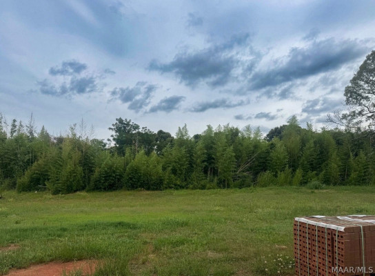 264 Hillston Drive