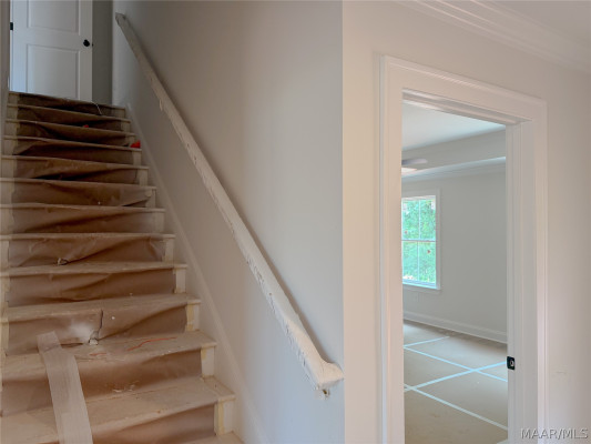 269 Pedric Drive