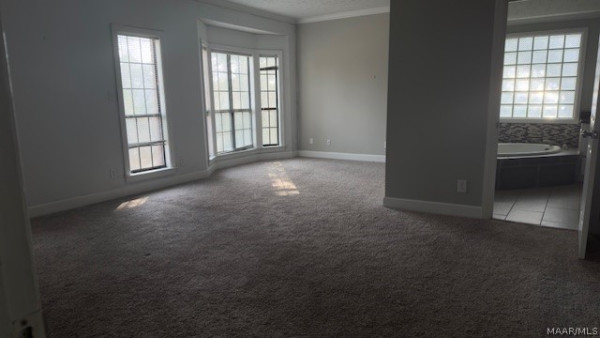 113 Shady Oak Lane