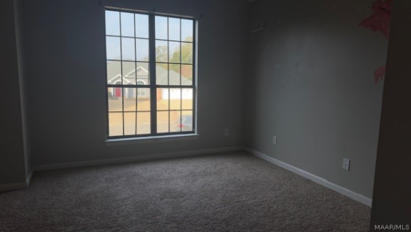 113 Shady Oak Lane