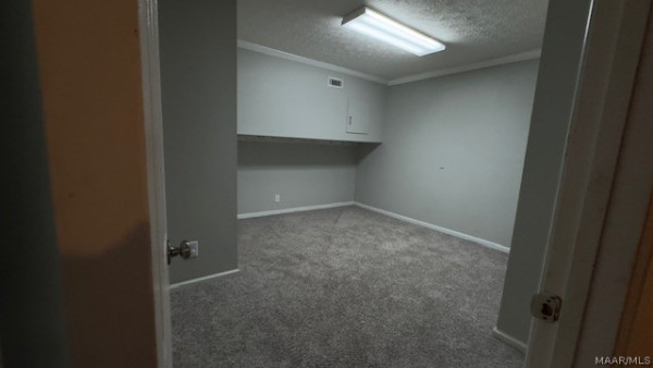 113 Shady Oak Lane