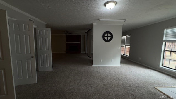 113 Shady Oak Lane