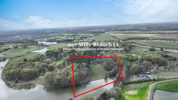 297 Milly Branch Court