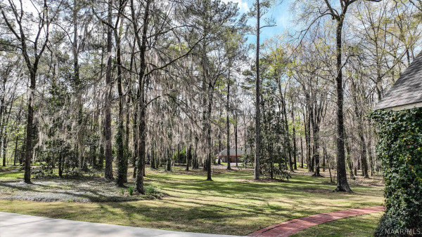 297 Milly Branch Court