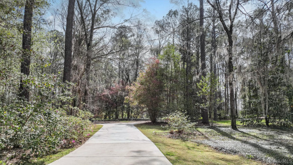 297 Milly Branch Court