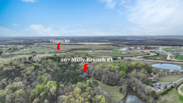 297 Milly Branch Court