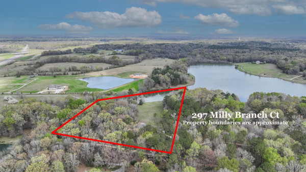 297 Milly Branch Court