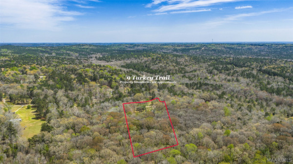 9 Turkey Trail
