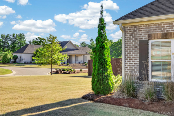 31 Alston Drive