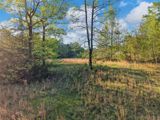 25 County Road 569 Road