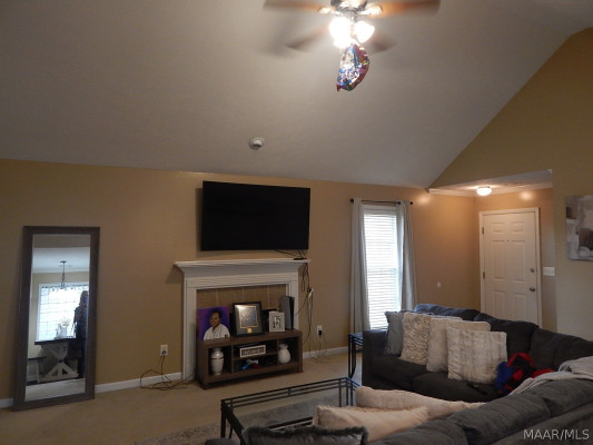 1333 Centerfield Court