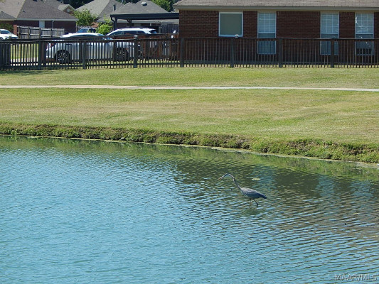 1333 Centerfield Court