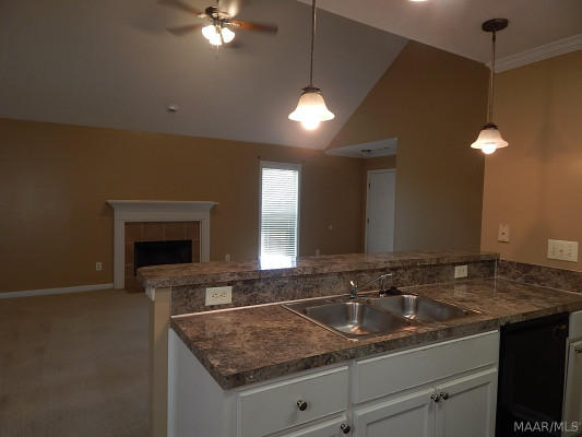 1333 Centerfield Court