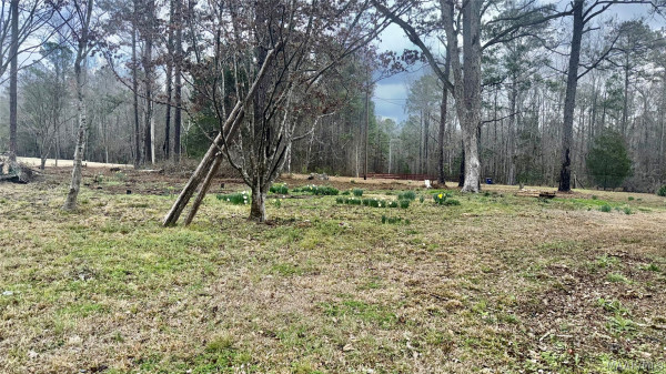 20917 Highway 231 Highway N