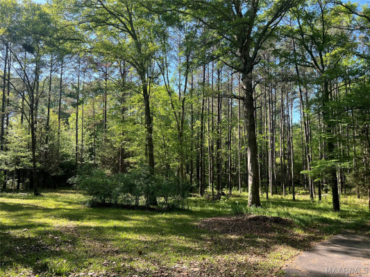 78715 Tallassee Highway
