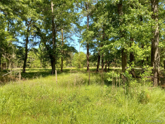 160 Briar Lane
