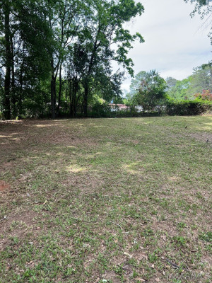 3845 Bienville Road