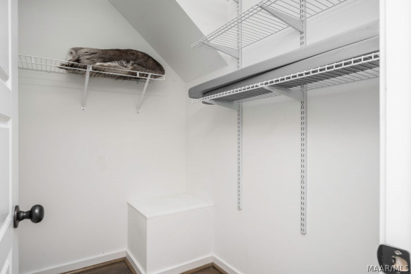 226 Lake Cameron Drive