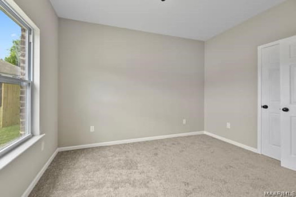 3600 Omalley Lane