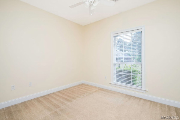 3200 Little Road