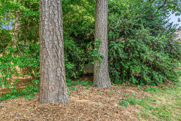 55 Honeysuckle Court