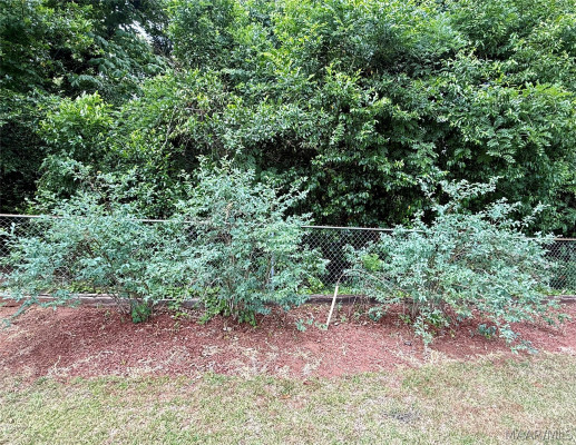 3013 Biltmore Avenue