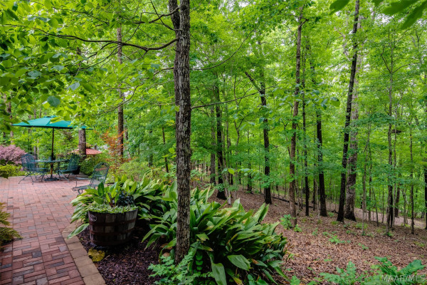 50 Orchard Trace