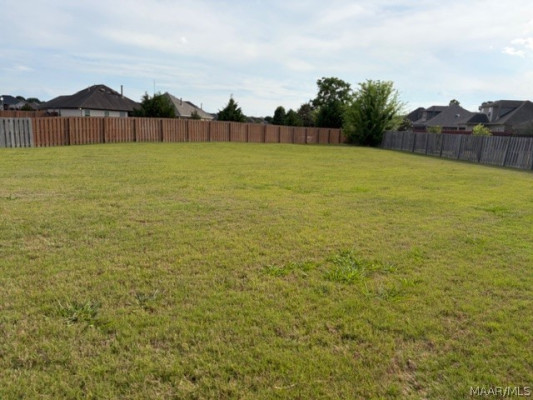 8828 Andress Court