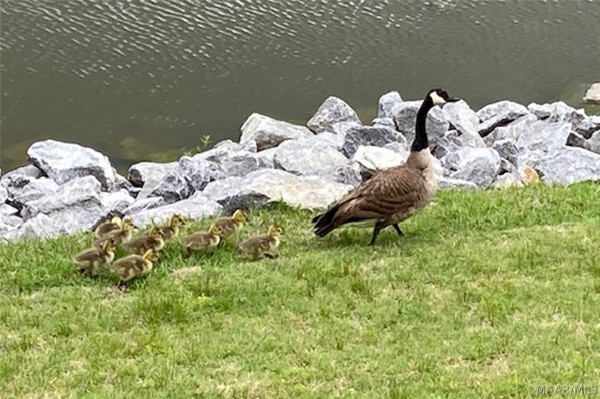 8557 WestHampton Court