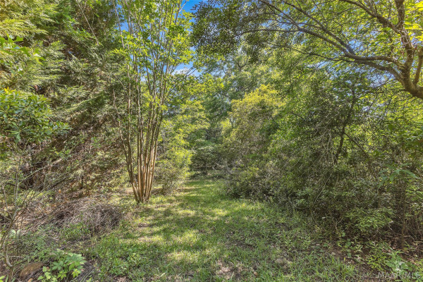 221 Doe Drive