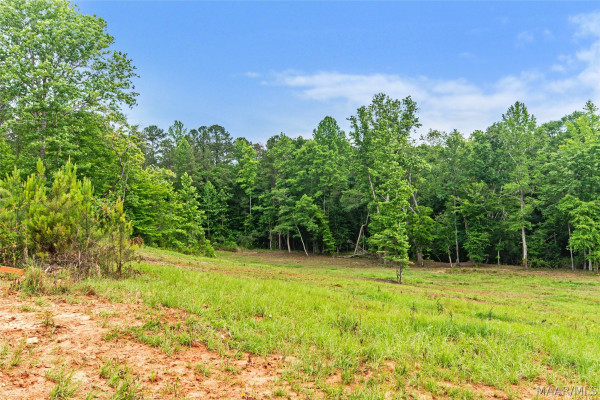 5595 Bradley Road