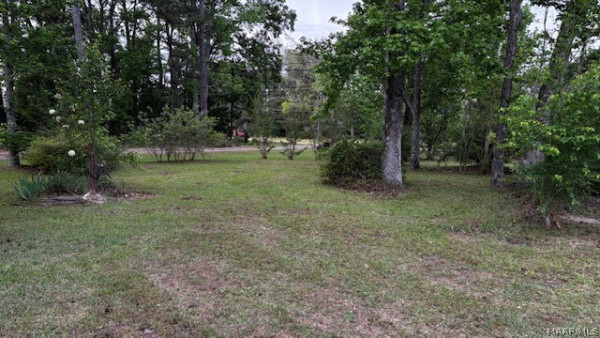 1231 Kowaliga Road