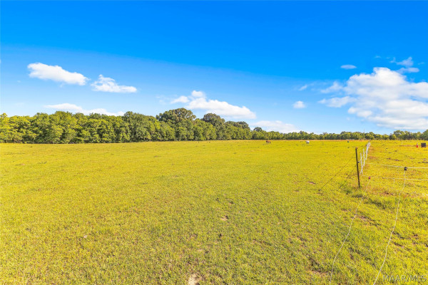 2364 Alabama River Parkway
