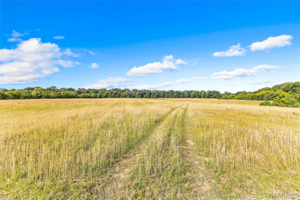 2364 Alabama River Parkway