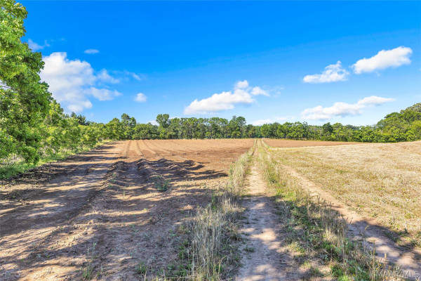 2364 Alabama River Parkway
