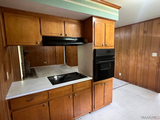 233 Carol Villa Drive