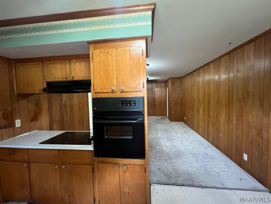 233 Carol Villa Drive