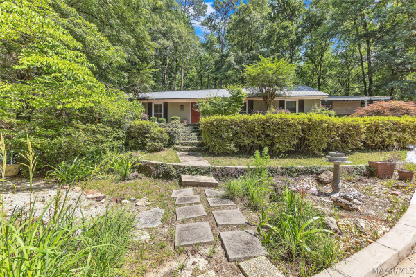 104 Camellia Street