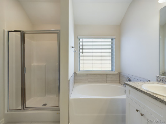 3913 Albion Court