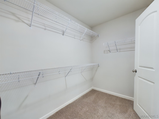 3913 Albion Court