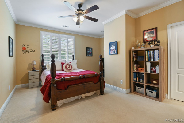 8421 TIMBER CREEK Drive