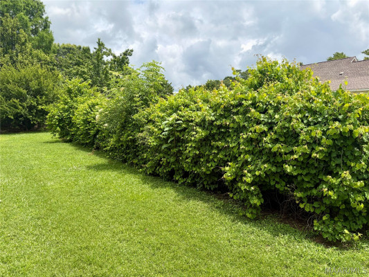 308 Meadowview Drive
