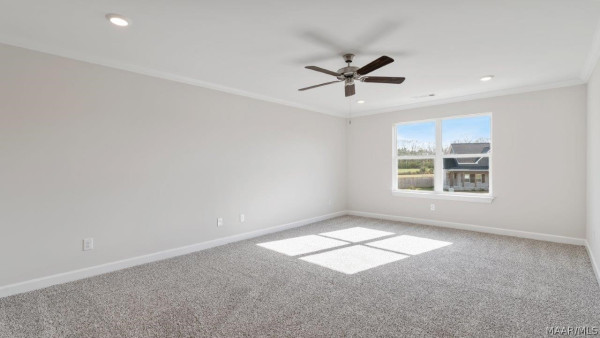 4824 Monarch Pass