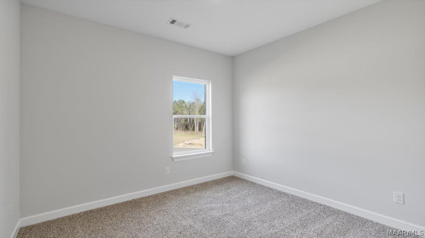 4824 Monarch Pass
