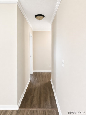 393 Forest Park Drive