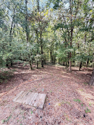 73 Elkmont Way