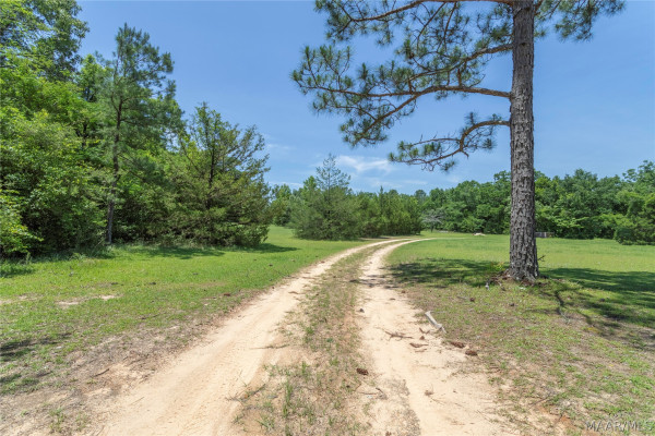 2041 County Road 63 Road