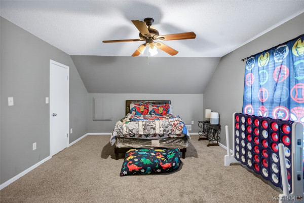1243 CEDRIC Court
